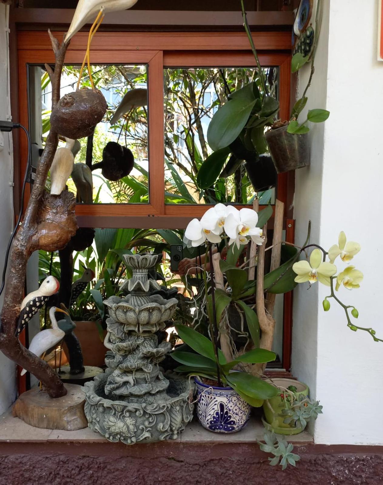 Casa Galeria Alberto Sedas Huatusco Exterior foto