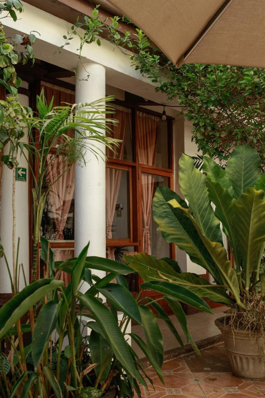Casa Galeria Alberto Sedas Huatusco Exterior foto