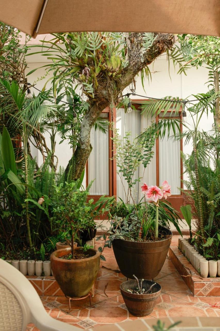 Casa Galeria Alberto Sedas Huatusco Exterior foto